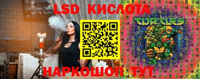 гидропоника Будённовск